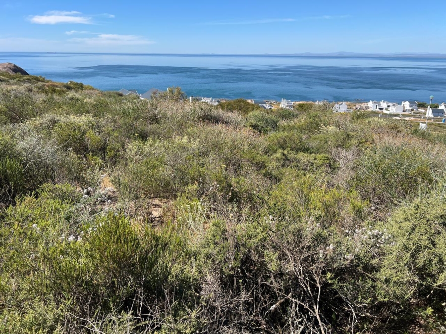 Commercial Property for Sale in St Helena Views Western Cape